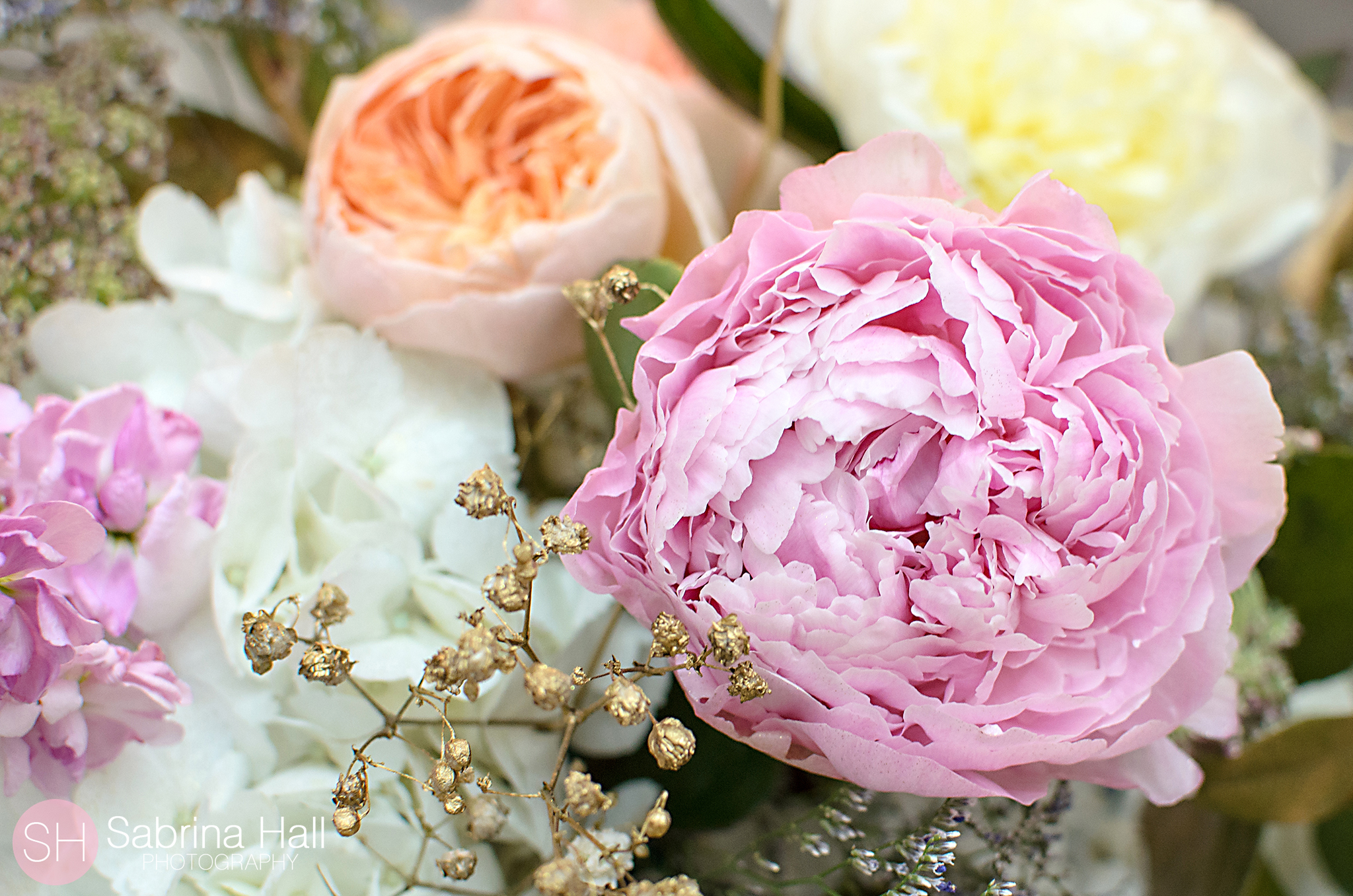 Nikki's Perfect Petal Designs
