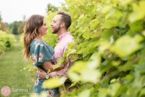 Gervasi Vineyard Canton Ohio