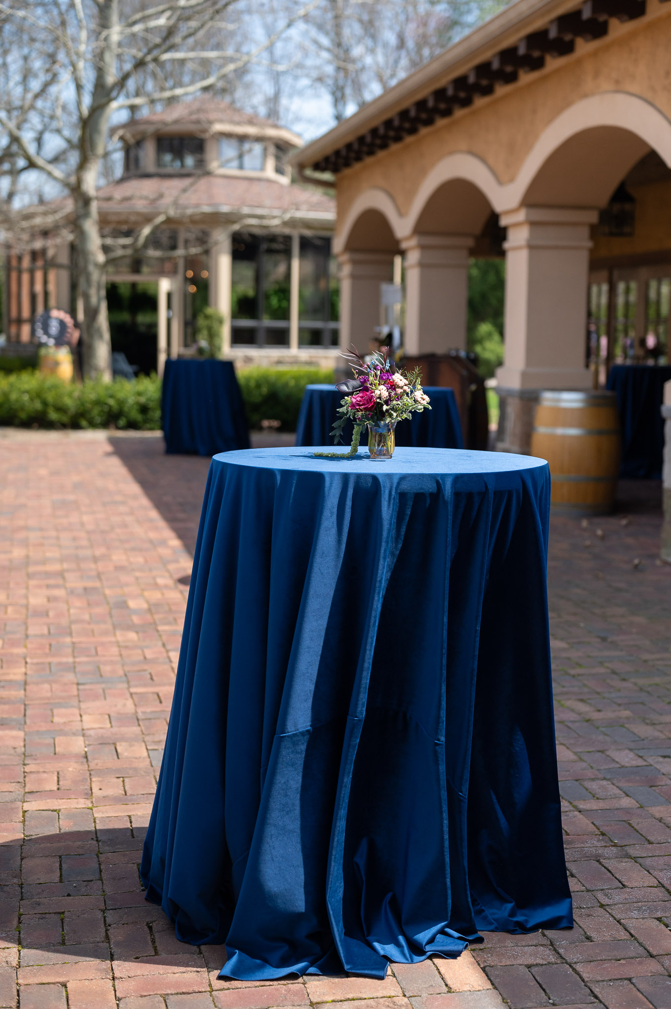 Gervasi Vineyard Eclipse Wedding