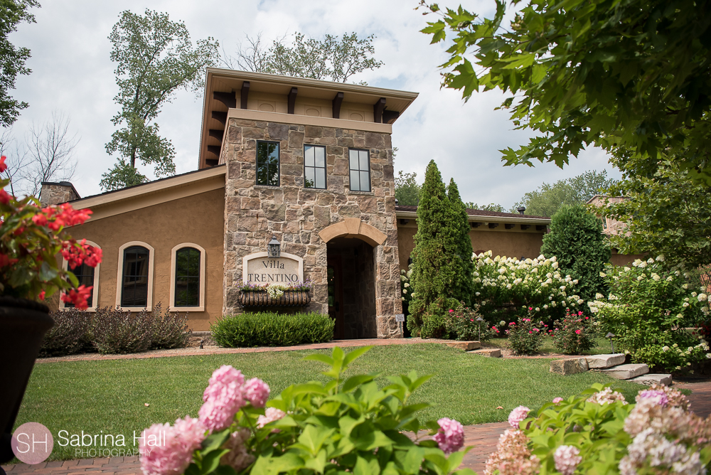 Gervasi Vineyard Wedding