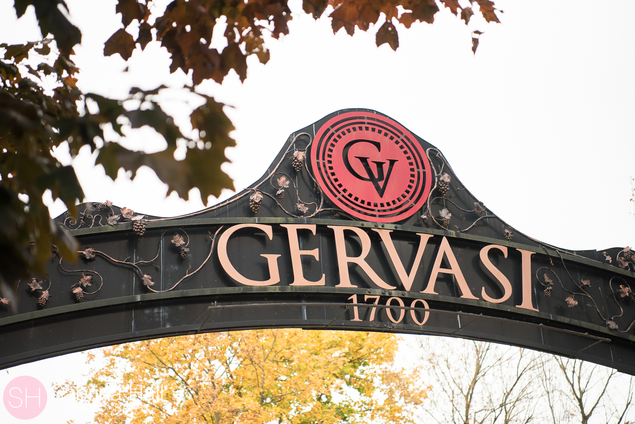 Gervasi Vineyard Wedding