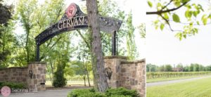 Gervasi Vineyard Wedding