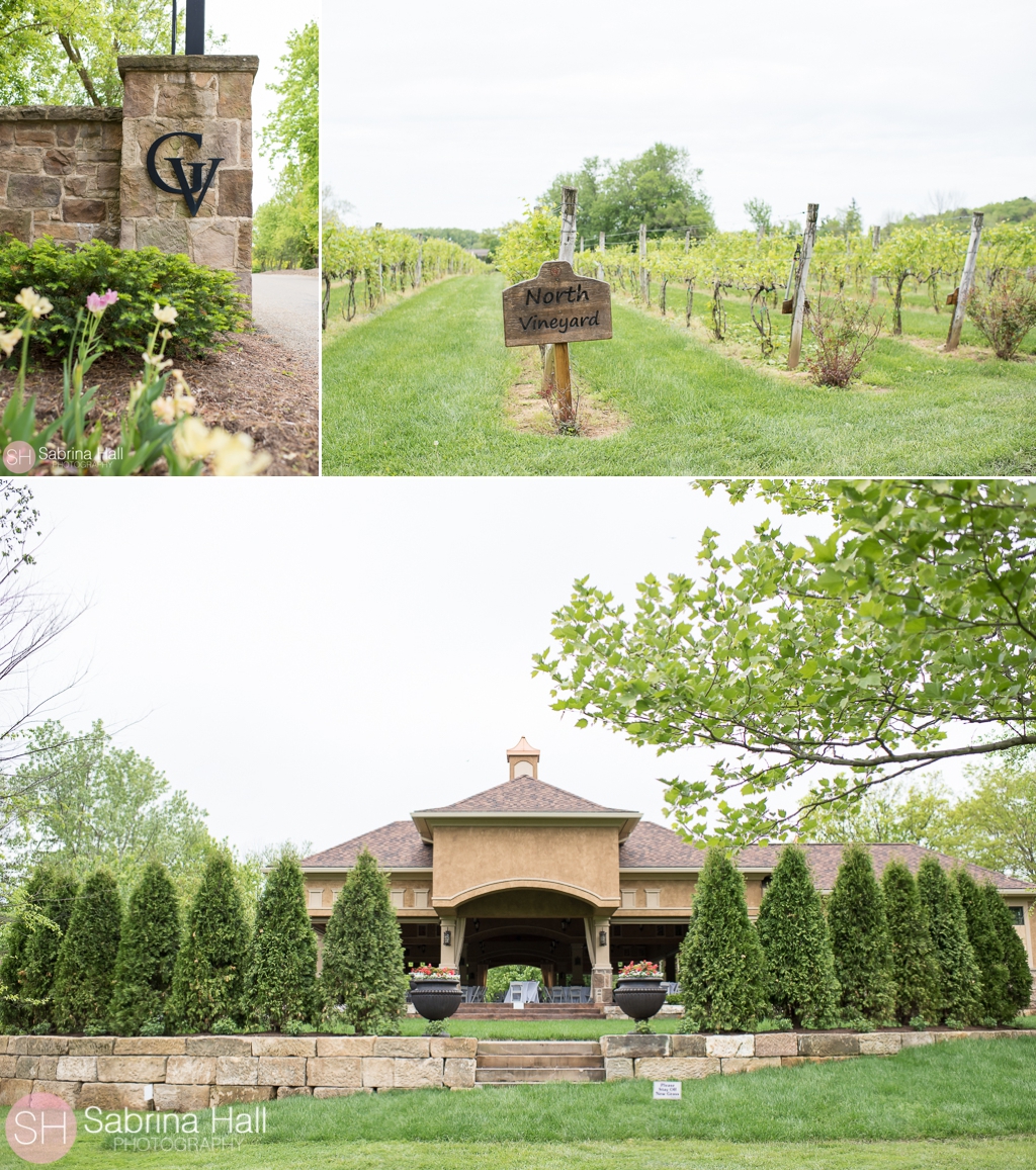 Gervasi Vineyard Wedding Photographer