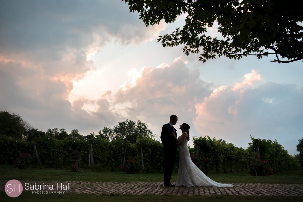 Gervasi Vineyard Wedding