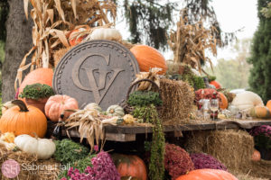 Gervasi Vineyard Wedding