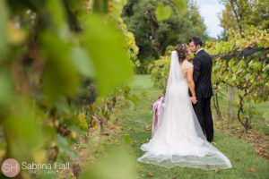 Gervasi Vineyard Wedding Photographer, Gervasi Vineyard Wedding