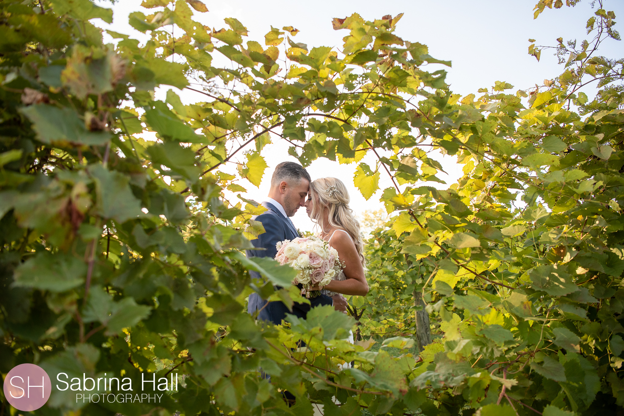 Gervasi Vineyard Wedding