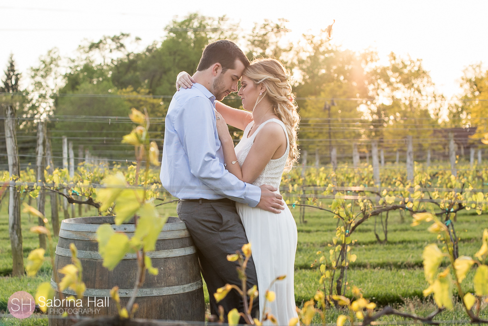 Gervasi Vineyard Wedding Photos, Gervasi Vineyard Canton Ohio Wedding