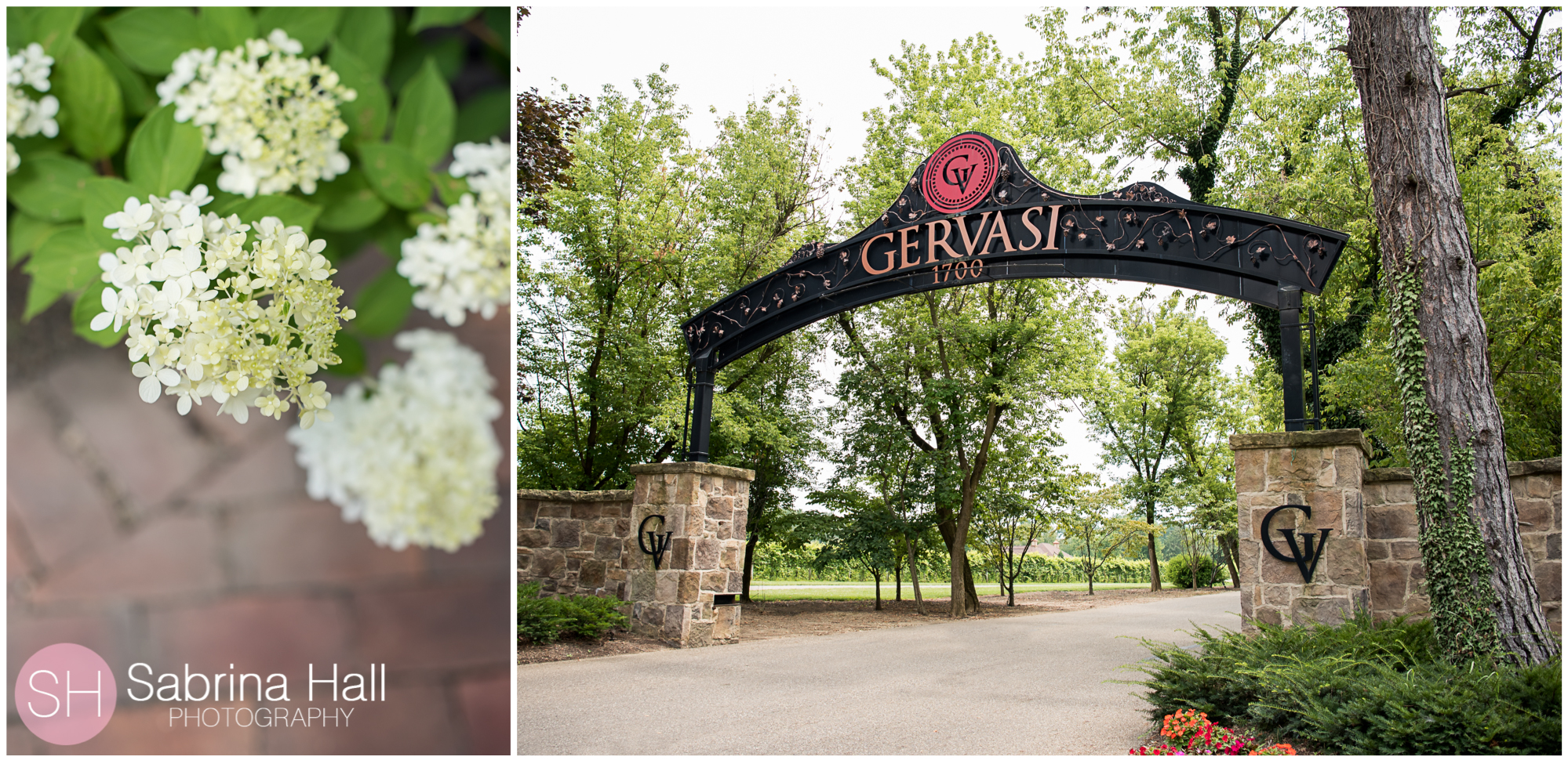 Gervasi Vineyard Wedding