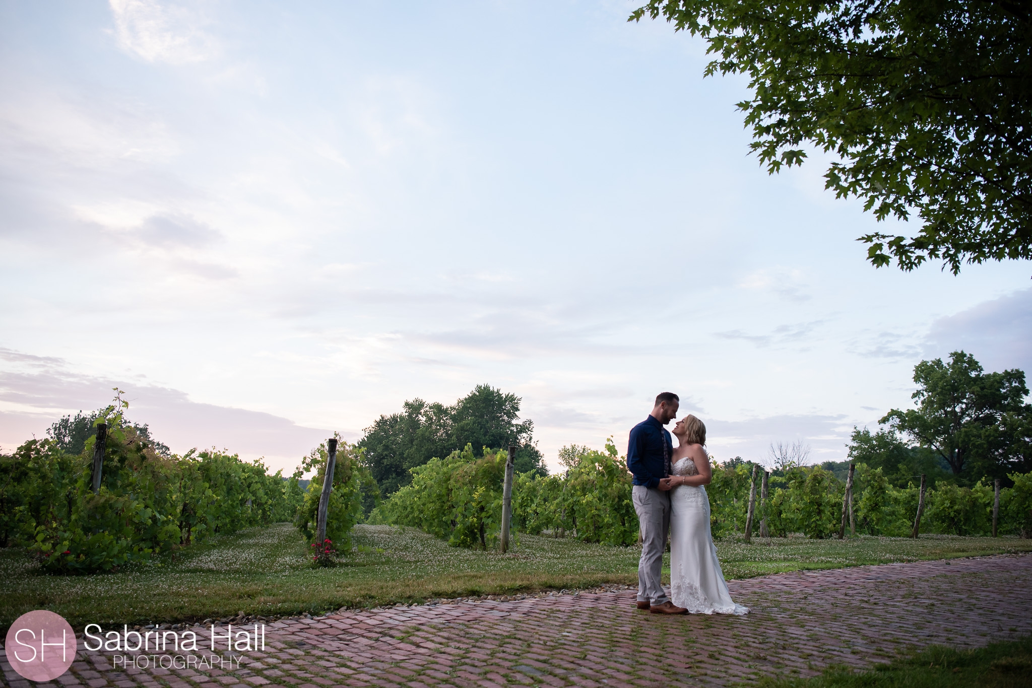 Gervasi Vineyard Wedding