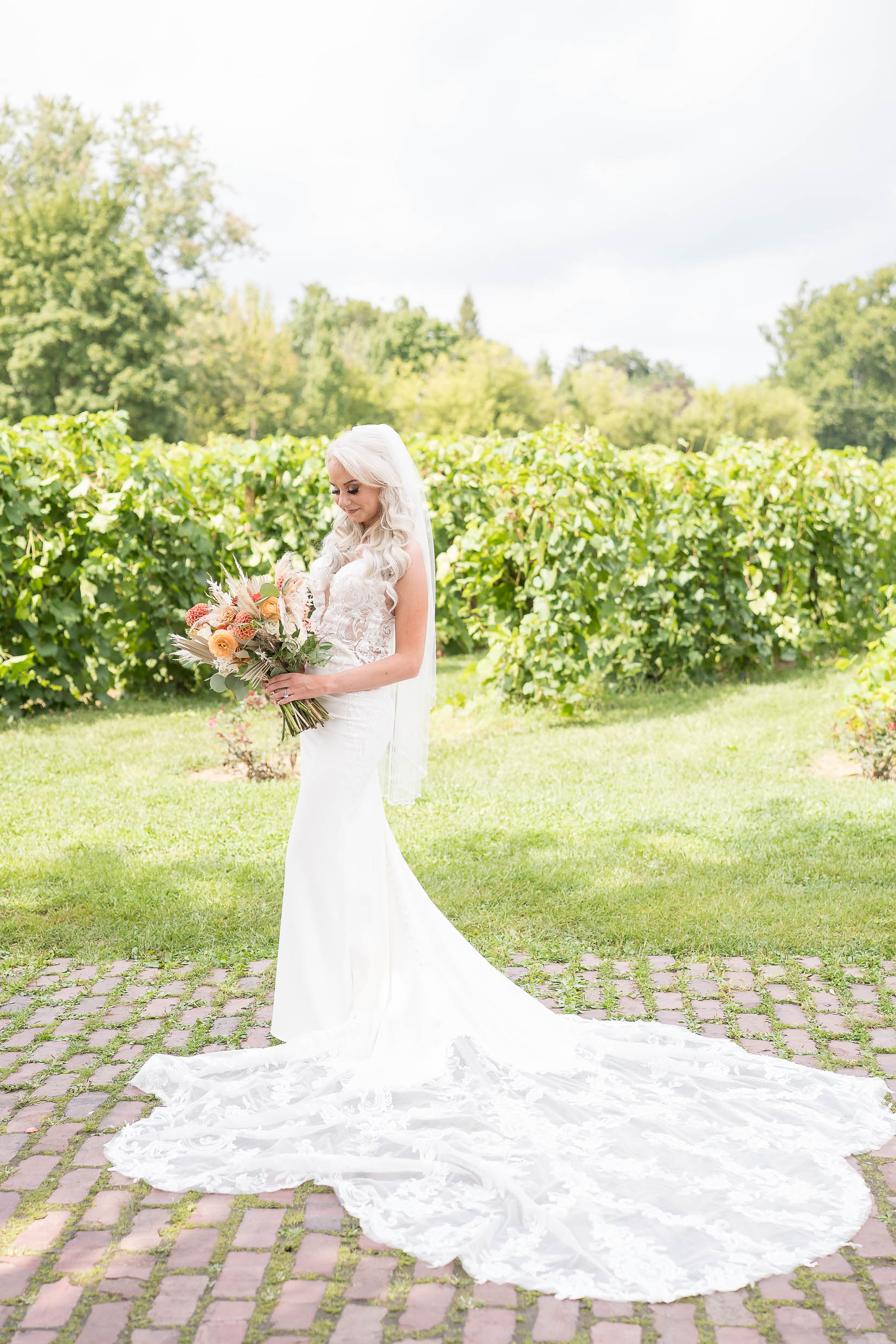 Gervasi Vineyard Wedding Photos