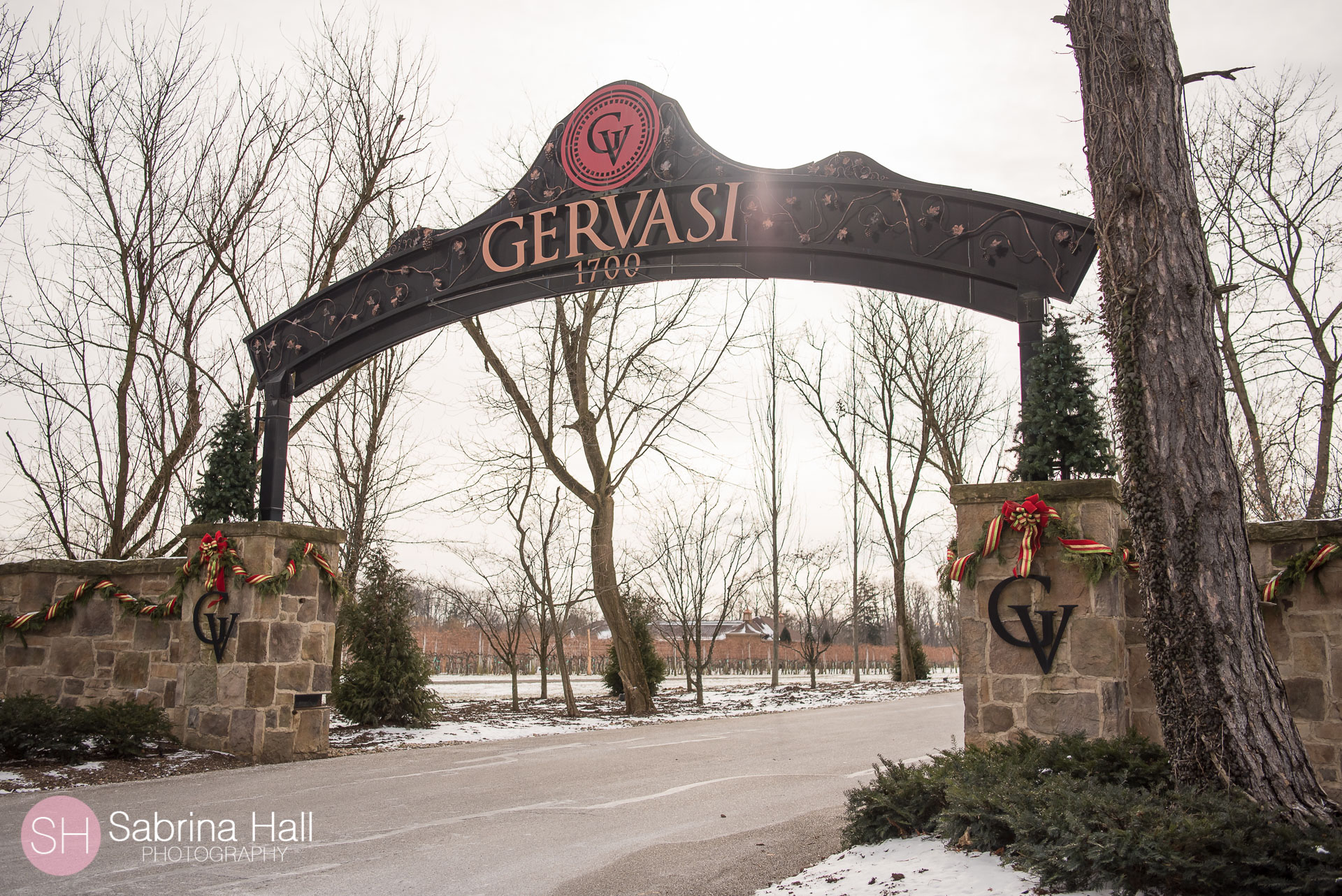 Gervasi Vineyard Wedding