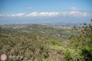 Sabrina Hall Photography