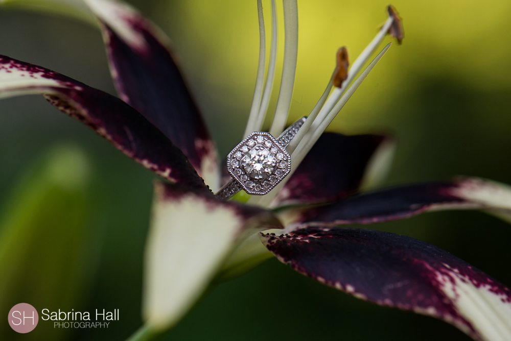 Cleveland Botanical Garden Engagement Session