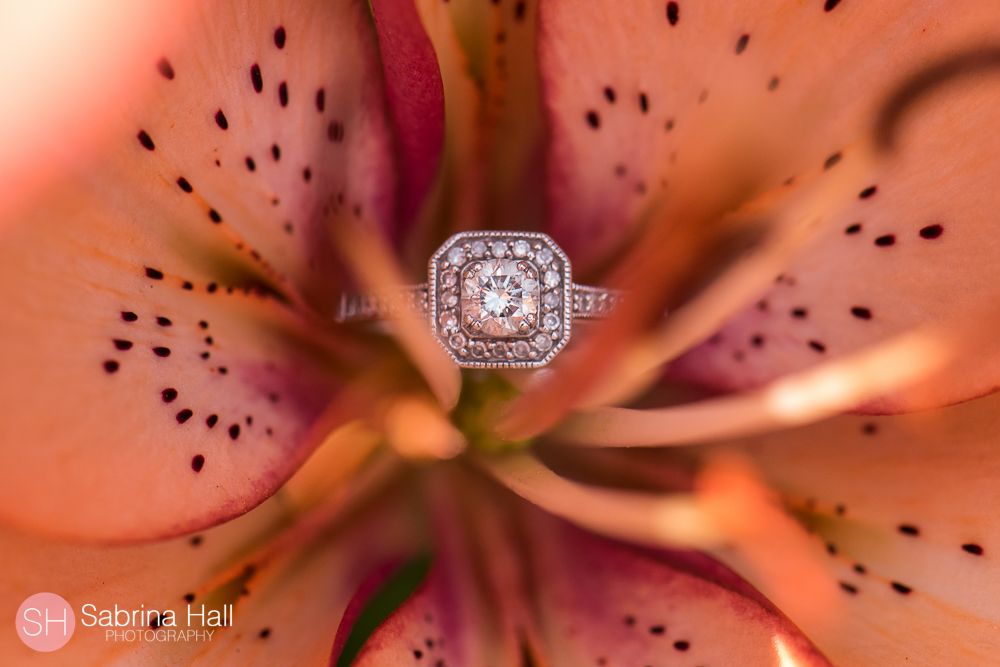 Cleveland Botanical Garden Engagement Session