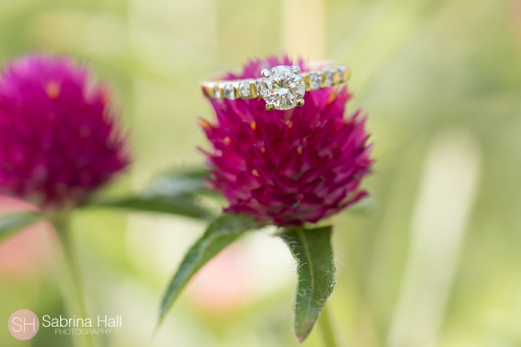 Stan Hywet Engagement Photos