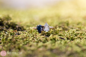 Stan Hywet Wedding